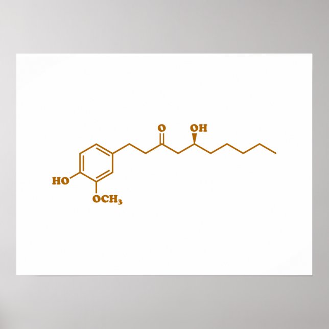 Ginger Gingerol Molecule Chemische Formel Poster (Vorne)