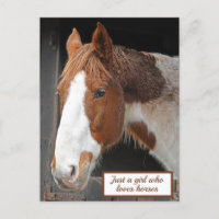 Ginger Horst on Farm Nur ein Mädchen, das Pferde L