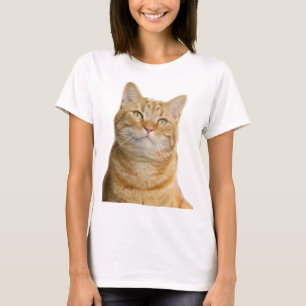 Ginger Katze große grüne Augen weiß T-Shirt