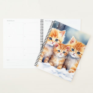 Ginger Kittens Planer