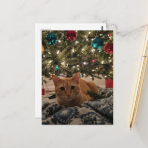 Ginger Kitty unterm Weihnachtsbaum Postkarte