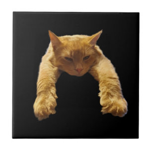 Ginger Lazy Cat, Keramik Tile Fliese