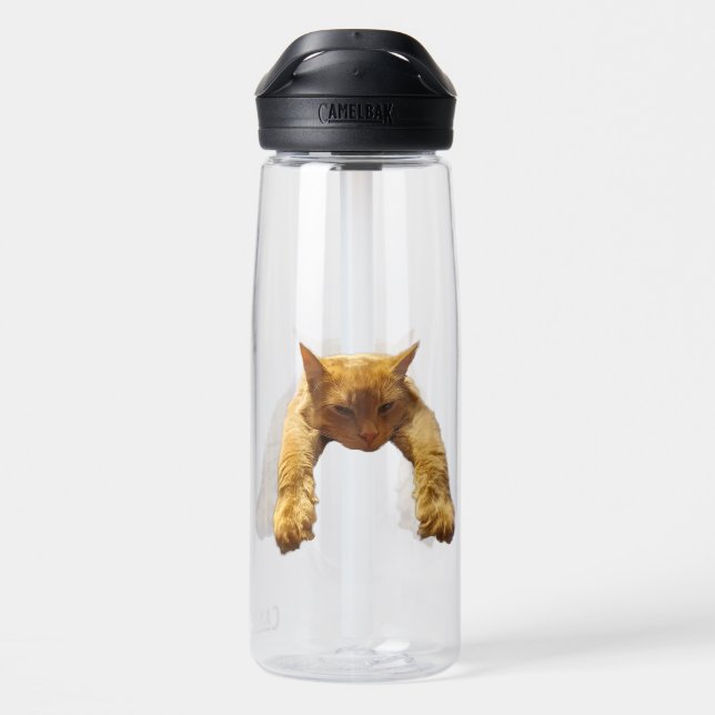Ginger Lazy Cat, Wasserflasche Trinkflasche (Rückseite)