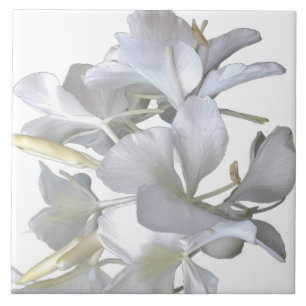 Ginger Lily Blossoms Fliese
