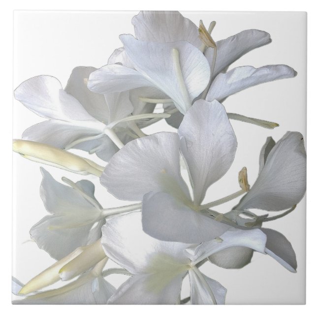 Ginger Lily Blossoms Fliese (Vorderseite)