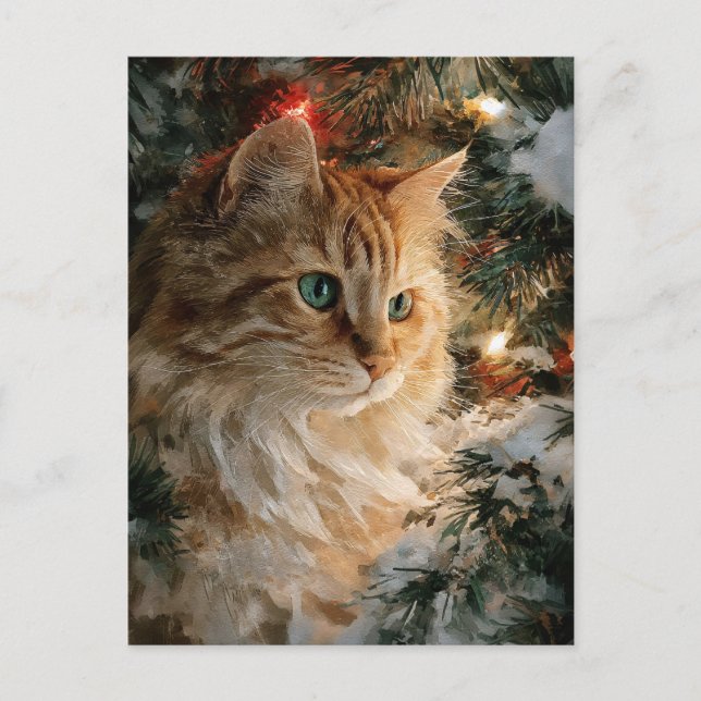 Ginger Maine Coon Christmas Postkarte (Vorderseite)
