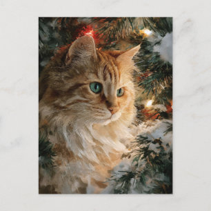 Ginger Maine Coon Weihnachten Postkarte