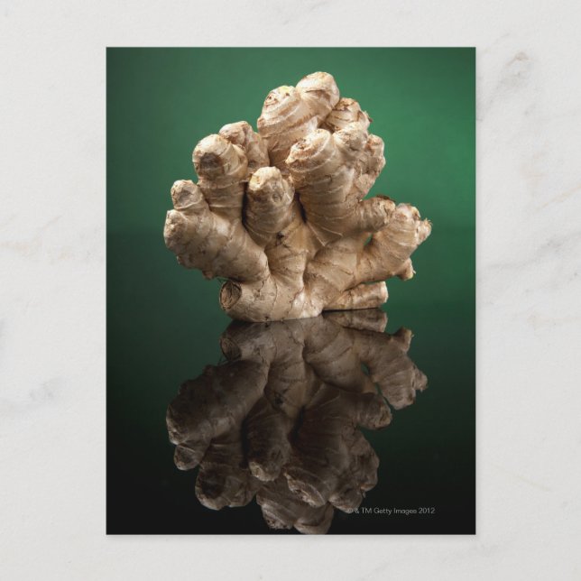 Ginger Postkarte (Vorderseite)