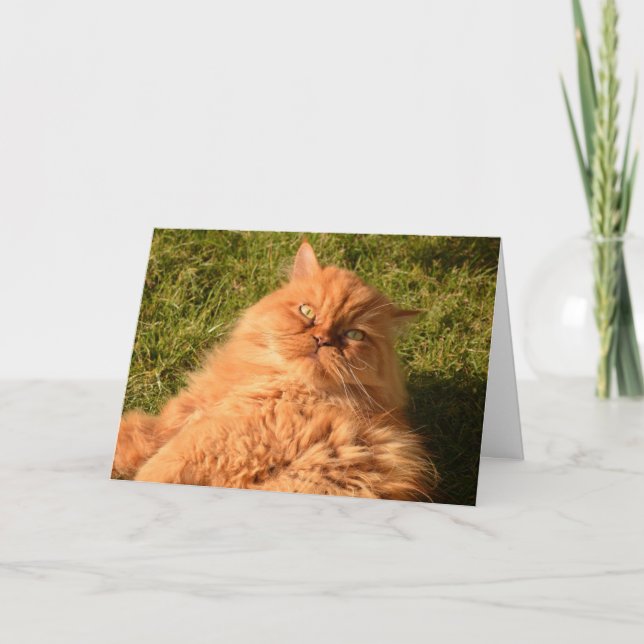 GINGER RED CAT "CHILL" HELLO JEDE OCCASION CARD KARTE (Vorderseite)