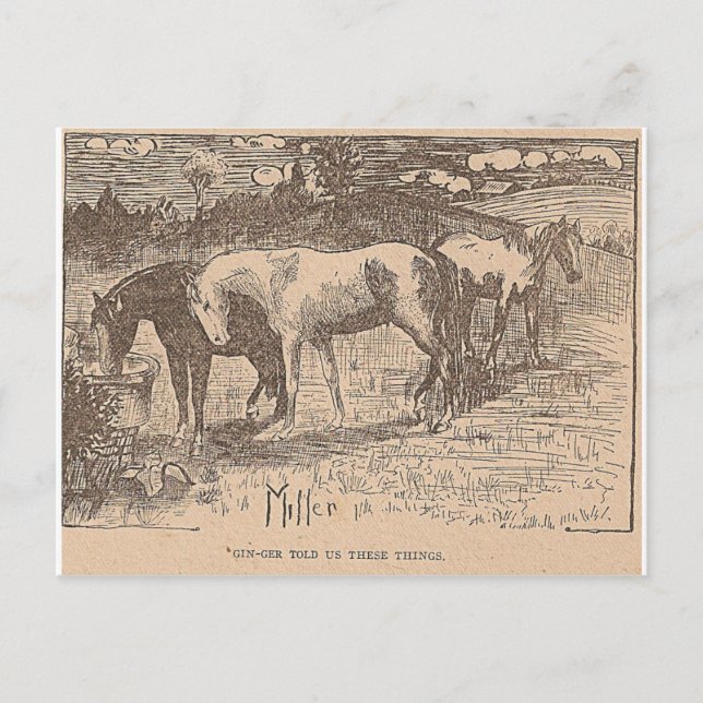 Ginger sagte uns diese Dinge Postkarte (Vorderseite)