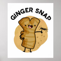 Ginger Snap Funny Food Herb Spice Pub