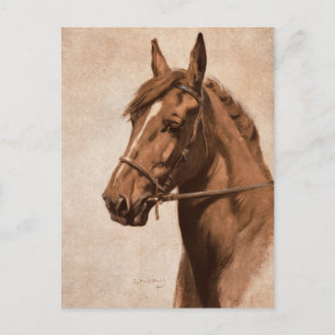 Ginger Sorrel Horse Black Beauty book Kemp-Welch Postkarte