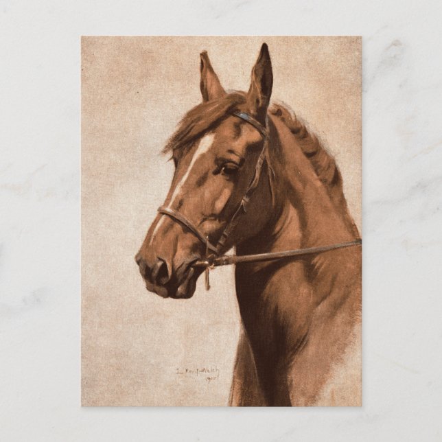 Ginger Sorrel Horse Black Beauty book Kemp-Welch Postkarte (Vorderseite)
