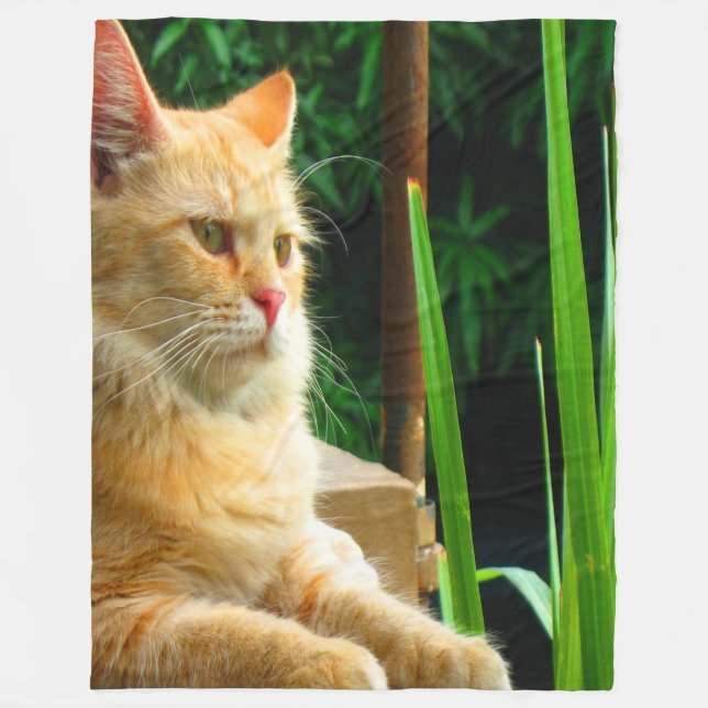 Ginger Tabby Cat Mediation Fleecedecke (Vorderseite)