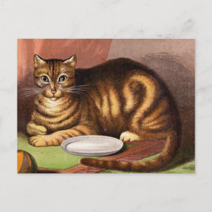 Ginger Tabby Cat Vintag Illustration Postkarte