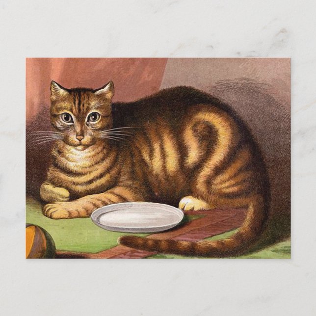 Ginger Tabby Cat Vintag Illustration Postkarte (Vorderseite)