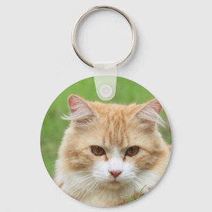 Ginger und White Cat, so niedlich! Schlüsselanhänger