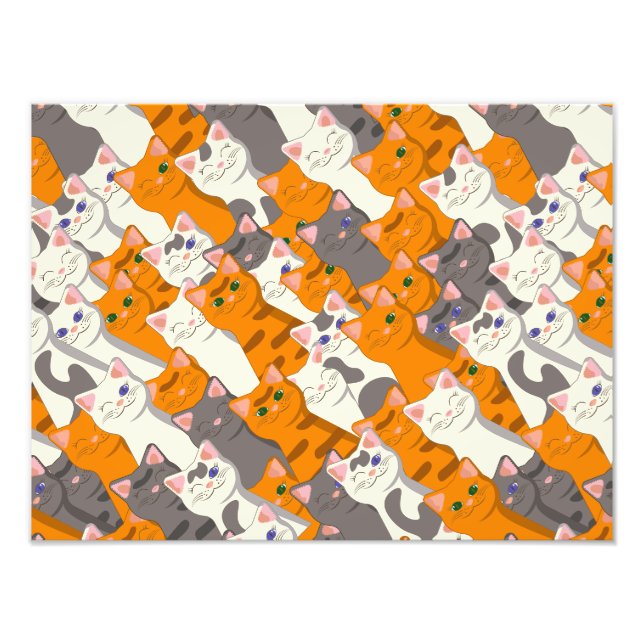 Ginger Weiße Katze Diagonalmuster Fotodruck (Vorne)
