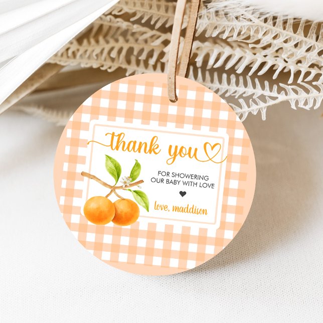 Gingham Orange Baby Shower Geschenkanhänger (Little Cutie Orange Baby Shower Favor Tags)