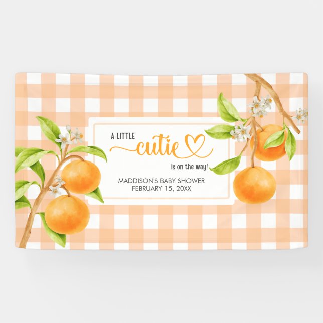 Gingham Orange Babyparty Banner (Horizontal)