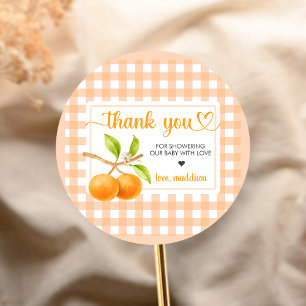 Gingham Orange Babyparty Runder Aufkleber