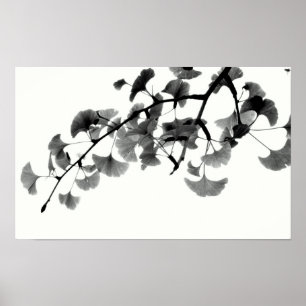 Gingko Biloba Foliage in Schwarz und Weiß Poster