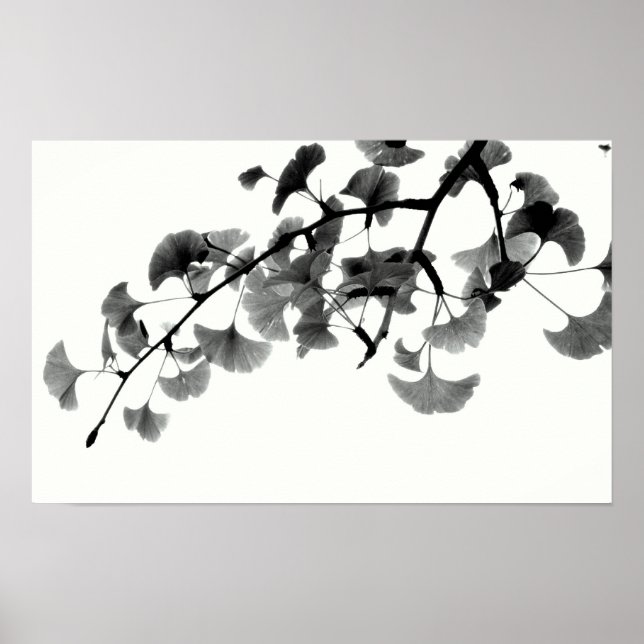 Gingko Biloba Foliage in Schwarz und Weiß Poster (Vorne)