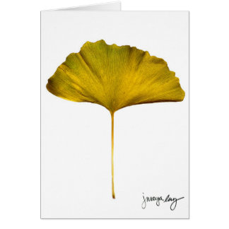 "Gingko" durch J. Maya Luz