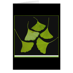 Gingko verlässt Karte