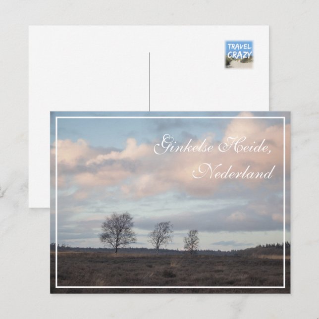 Ginkel Heath, Ede, Niederlande Landschaft Postkarte (Vorne/Hinten)