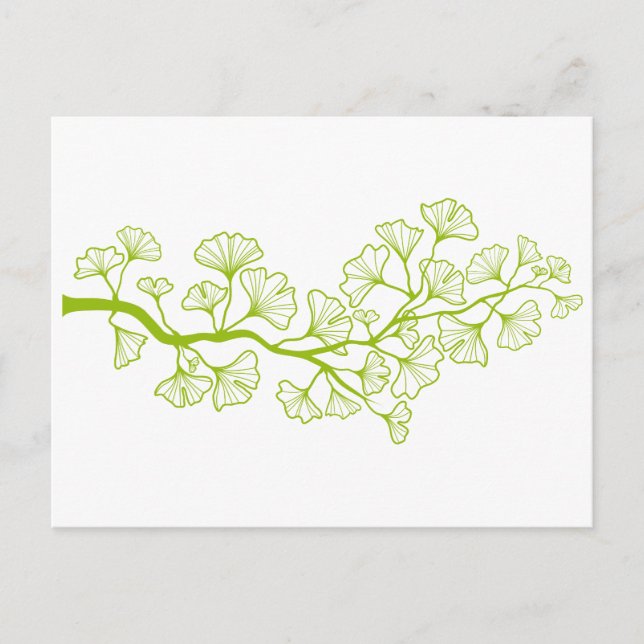 Ginkgo-Baum mit grünen Blätter Postkarte (Vorderseite)