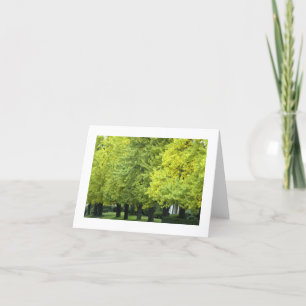 Ginkgo-Bäume auf Hochland-Allee, Pittsburgh PA Karte