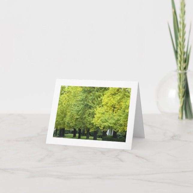 Ginkgo-Bäume auf Hochland-Allee, Pittsburgh PA Karte (Vorderseite)