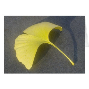 Ginkgo Biloba Blatt-Karte