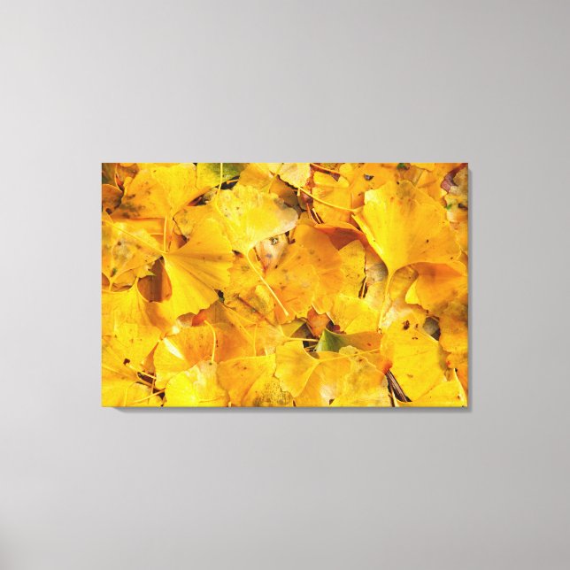 Ginkgo Biloba Blätter Leinwanddruck (Vorderseite)