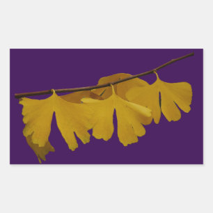 Ginkgo Biloba Blätter Sticker