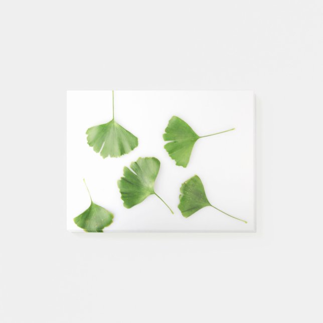 Ginkgo Biloba Leaf gegen weißen Hintergrund Post-it Klebezettel (Vorderseite)