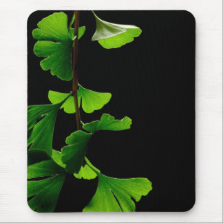 Ginkgo_Biloba_Leaves_-_Black_Background Mousepad