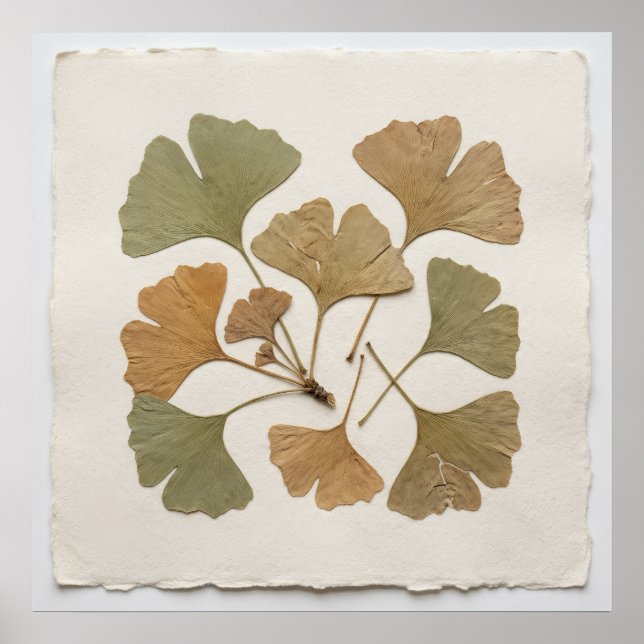 Ginkgo-Blatt-Botanikposter Poster (Vorne)