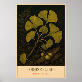 Ginkgo-Blatt – Vintage-Botanikillustration Poster
