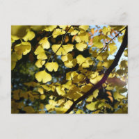 Ginkgo-Blätter im Herbst: Japan