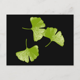 Ginkgo-Blätter Postkarte