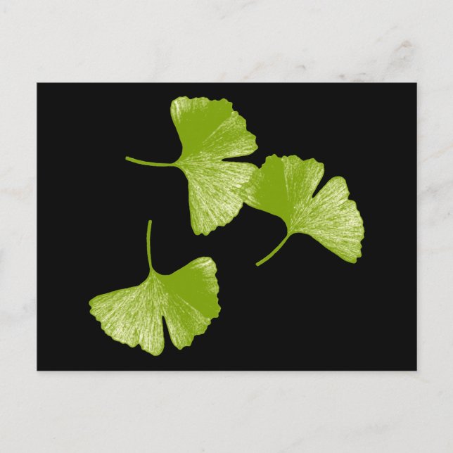 Ginkgo-Blätter Postkarte (Vorderseite)