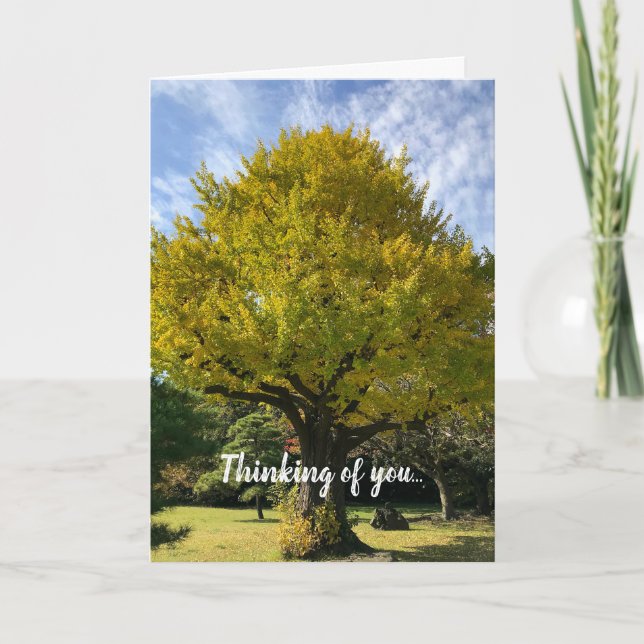 Ginkgo Tree of Golden Yellow Karte (Vorderseite)