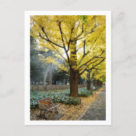 Ginkgo Trees: Meiji Jingu Gaien, Tokio Postkarte