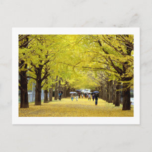 Ginkgo Trees: Showa Kinen Park, Tokio Postkarte