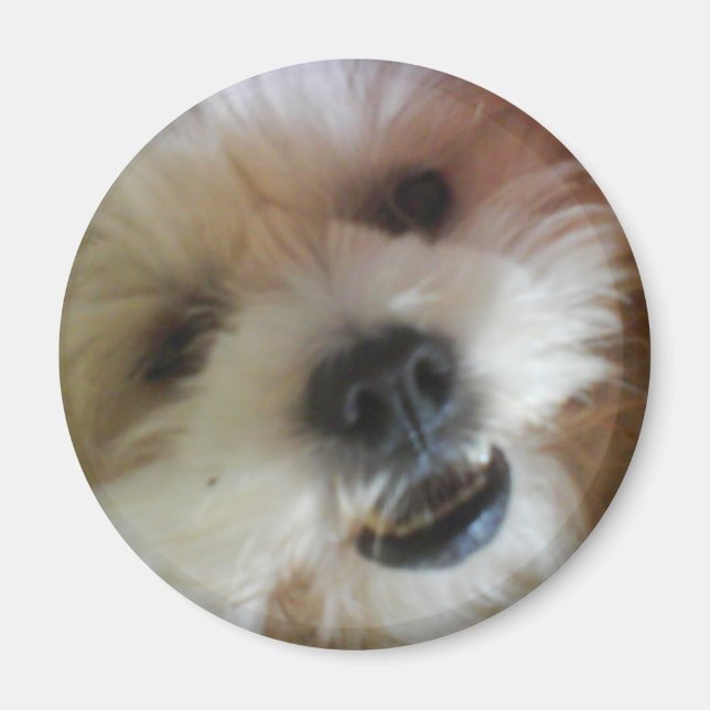 Ginny Pop Magnet (Vorne)