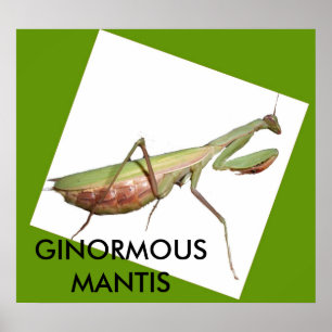GINORMOUS MANTIS POSTER