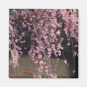 Gion, Präfektur Kyoto, Japan Magnet