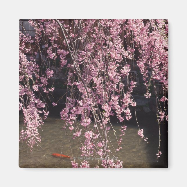 Gion, Präfektur Kyoto, Japan Magnet (Vorne)